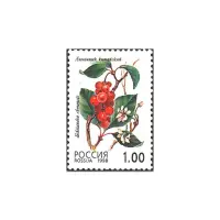 1998-Лимонник