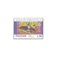 1998-Трехцветный-лабео