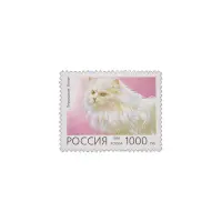 1996-Персидская-белая-кошка