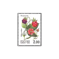 1998-Книженика