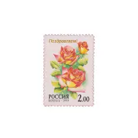 1999-Роза-Поздравляем