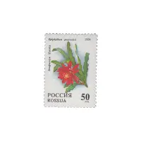 1994-ЭПИФИЛЛУМ-ПИКОКА-ИЗ-СЕРИИ-КОМНАТНЫЕ-РАСТЕНИЯ.-КАКТУСЫ