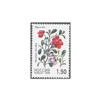 1998-Брусникак