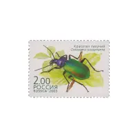 2003-КРАСОТЕЛ-ПАХУЧИЙ-ИЗ-СЕРИИ-ЖУКИ