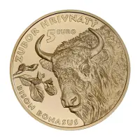 Словакия 5 евро 2024 года - Зубр_1