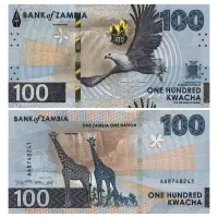 Замбия - Набор из 2 банкнот - 50 и 100 квача 2025 года_2