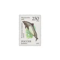 1993-Морская-свинья