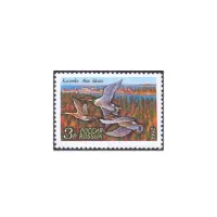 1992-Касатка