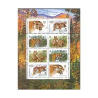Малый-лист-1993-год,-50,-100,-250,-500-рублей---Уссурийский-тигр