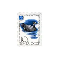 Горный-гусь