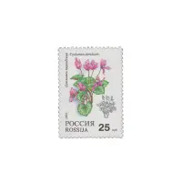1993-Цикламен
