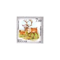 2006-СЕВЕРНЫЙ-ОЛЕНЬ-ИЗ-СЕРИИ-ФАУНА-РЕСПУБЛИКИ-САХА-(ЯКУТИЯ)