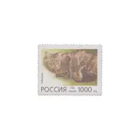 1996-Сибирская-кошка