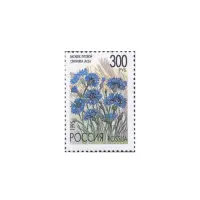 1995-Василек