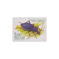 2003-ЖУЖЕЛИЦА-КАВКАЗСКАЯ-ИЗ-СЕРИИ-ЖУКИ
