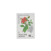 1993-Гибискус
