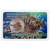 Крылатка-зебра