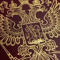 Альбом папка без листов OPTIMA - Герб (бордовый)_5