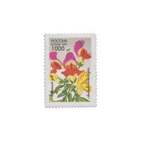 1996-Львиный-зев