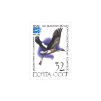 Дальневосточный-аист