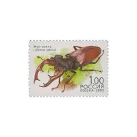 2003-ЖУК-ОЛЕНЬ-ИЗ-СЕРИИ-ЖУКИ