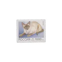 1996-Сиамская-кошка