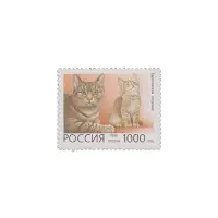 1996-Европейская-тигровая-кошка