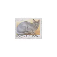 1996-Русская-голубая-кошка