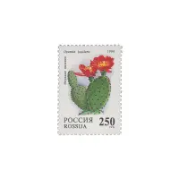 1994-ОПУНЦИЯ-НИЗОВАЯ-ИЗ-СЕРИИ-КОМНАТНЫЕ-РАСТЕНИЯ.-КАКТУСЫ