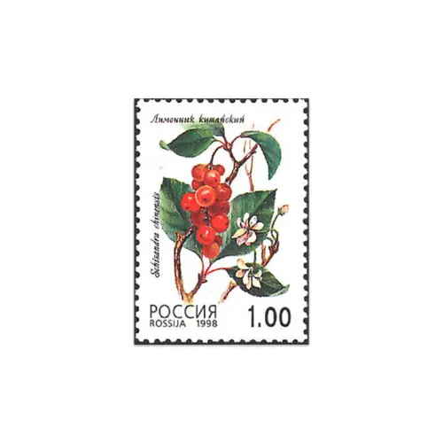 1998-Лимонник