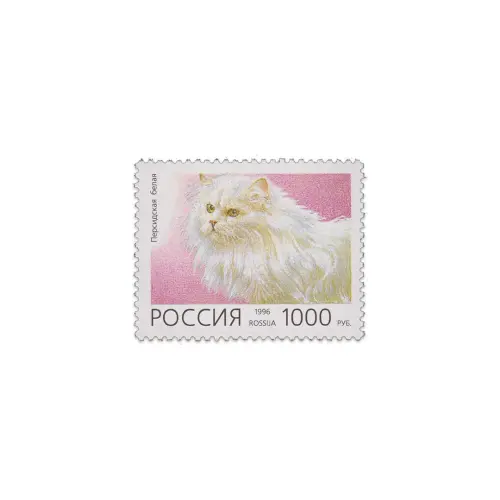 1996-Персидская-белая-кошка