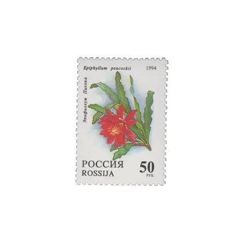 1994-ЭПИФИЛЛУМ-ПИКОКА-ИЗ-СЕРИИ-КОМНАТНЫЕ-РАСТЕНИЯ.-КАКТУСЫ