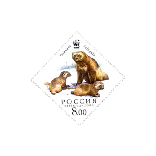 2004-РОСОМАХА-С-ДЕТЕНЫШАМИ-ИЗ-СЕРИИ-ФАУНА,-РОСОМАХА,-ВЫПУСК-ПО-ПРОГРАММЕ-WWF