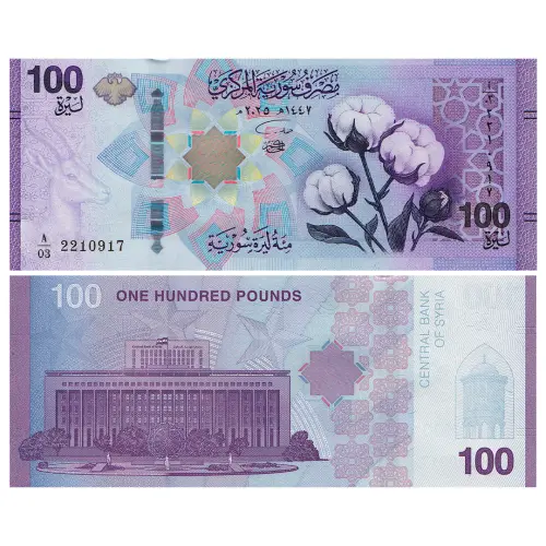 Сирия - Набор из 6 банкнот - 10, 25, 50, 100, 200, 500 сирийских фунтов 2025 года_4