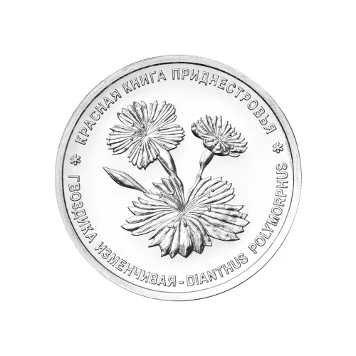 Приднестровье 1 рубль 2025 года - Красная книга - Гвоздика изменчивая