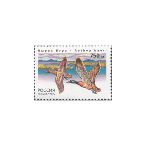 1995-Нырок-Бэра