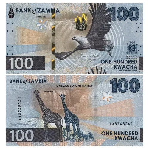 Замбия - Набор из 2 банкнот - 50 и 100 квача 2025 года_2
