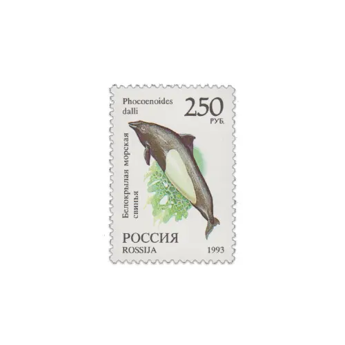 1993-Морская-свинья