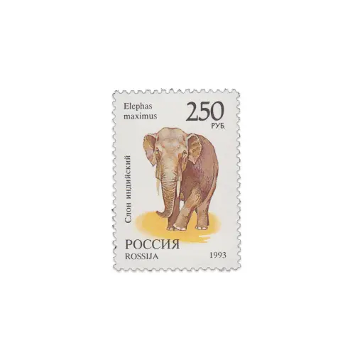 1993-Слон-индийский