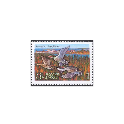 1992-Касатка