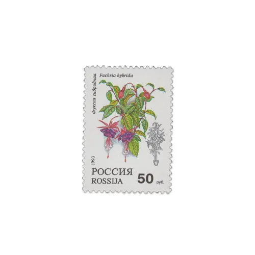 1993-Фуксия