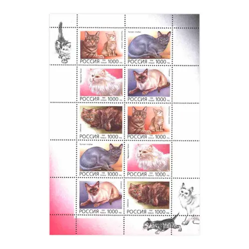 Малый-лист-1996-год,-1000-рублей---Домашние-кошки