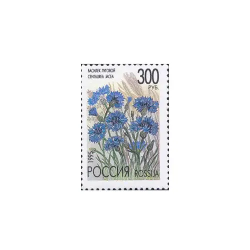1995-Василек