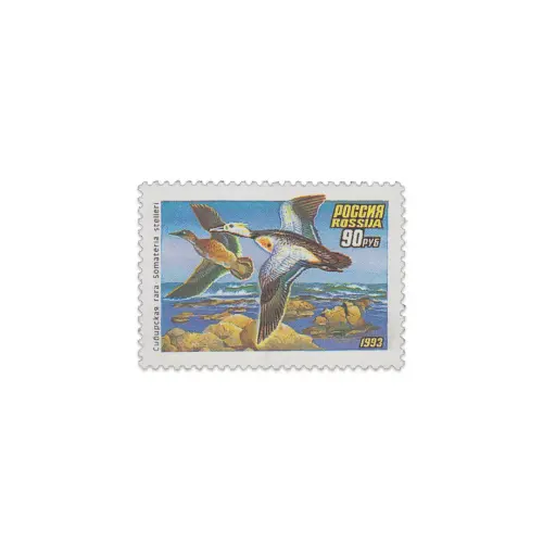 1993-Сибирская-гага