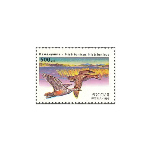 1995-Каменушка