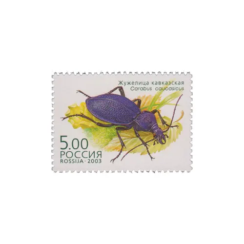 2003-ЖУЖЕЛИЦА-КАВКАЗСКАЯ-ИЗ-СЕРИИ-ЖУКИ