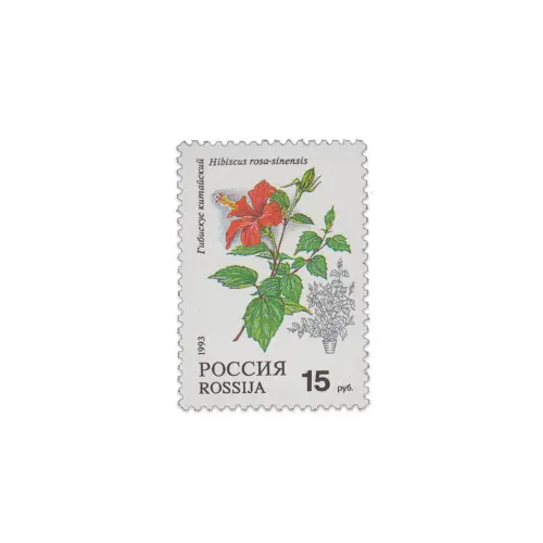 1993-Гибискус