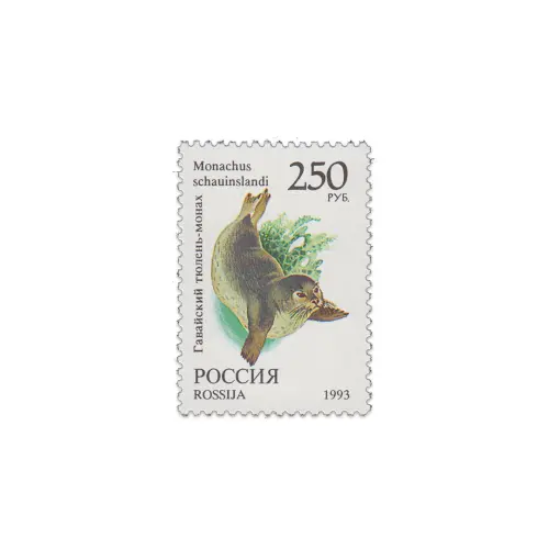 1993-Гавайский-тюлень