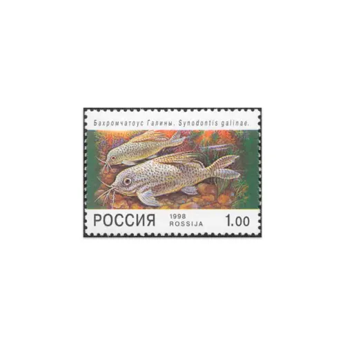 1998-Бахромчатоус-Галины