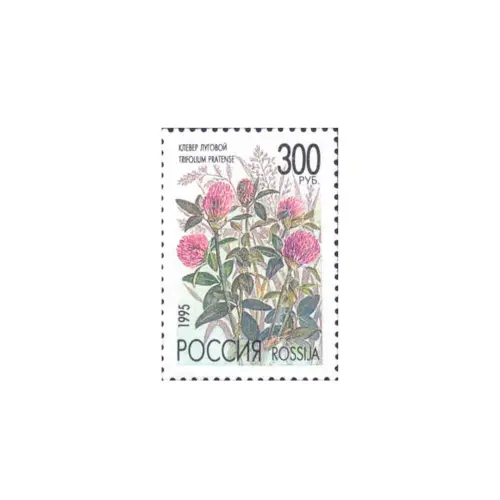 1995-Клевер